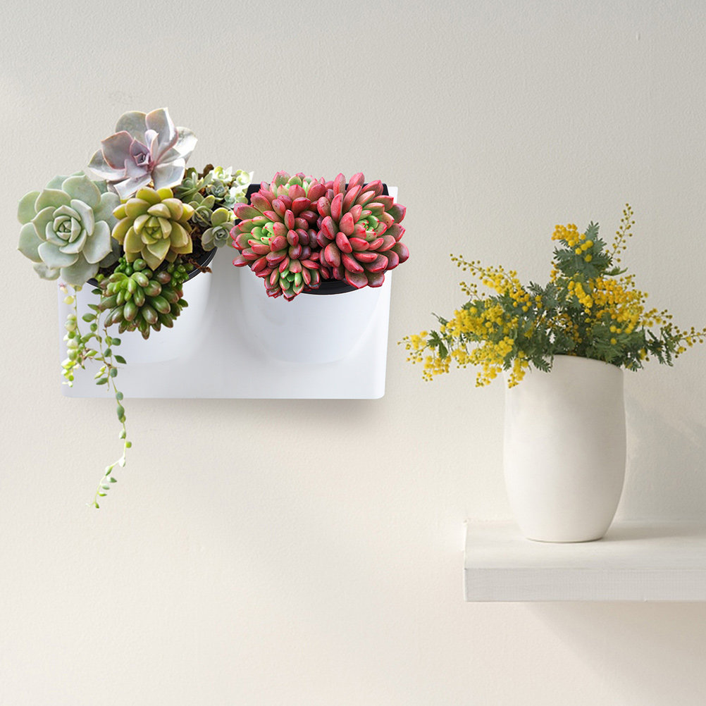 Self Watering Planter - Selbstbewässernder Blumentopf aus Kunststoff, violetter Pflanzentopf,