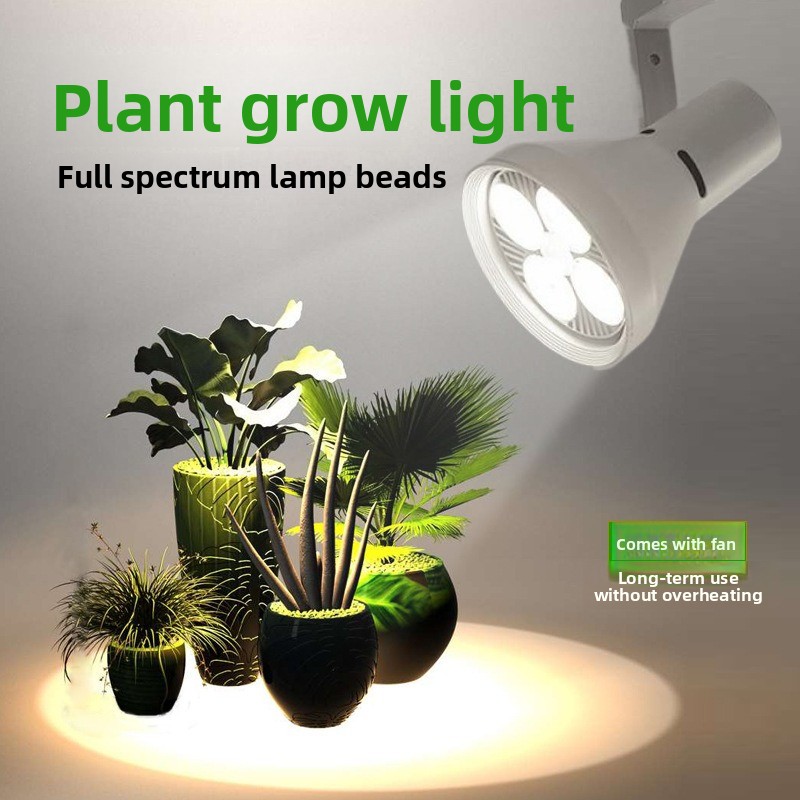 Plant Grow Light Full Spectrum - Vollspektrum-LED-Pflanzenlampe für Regenwald-Terrarium, Sukkulenten, Moos und