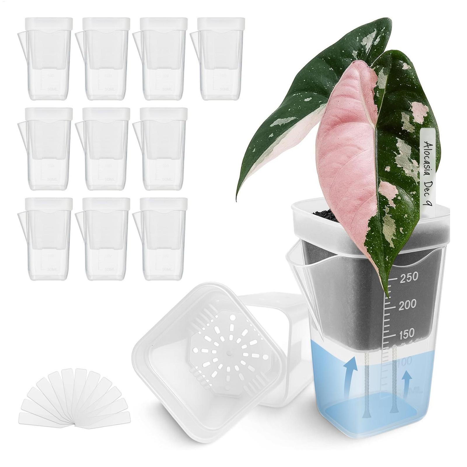 Hydroponic Grow Pod - 10 Stück transparente, selbstbewässernde Pflanzentöpfe für