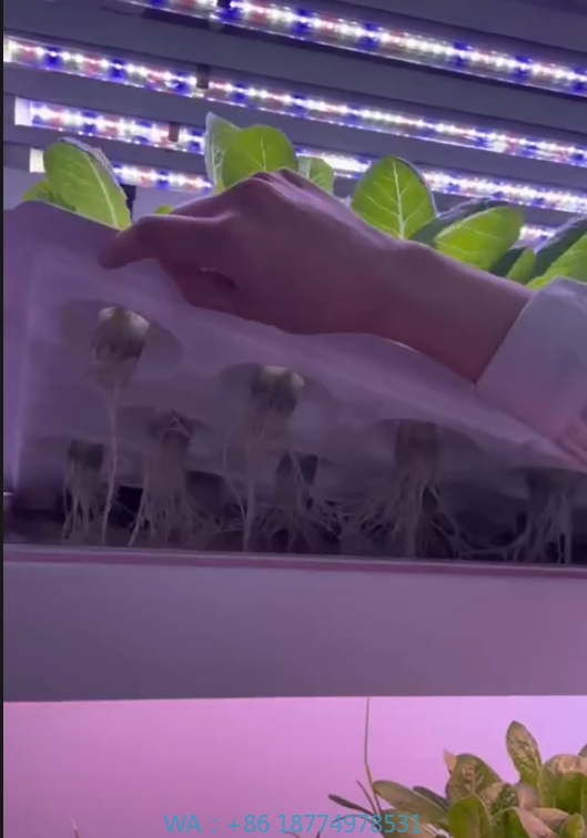 Hydroponic Tower - f Gewächshaus, landwirtschaftliche Ausrüstung, Pilz, Gemüse,