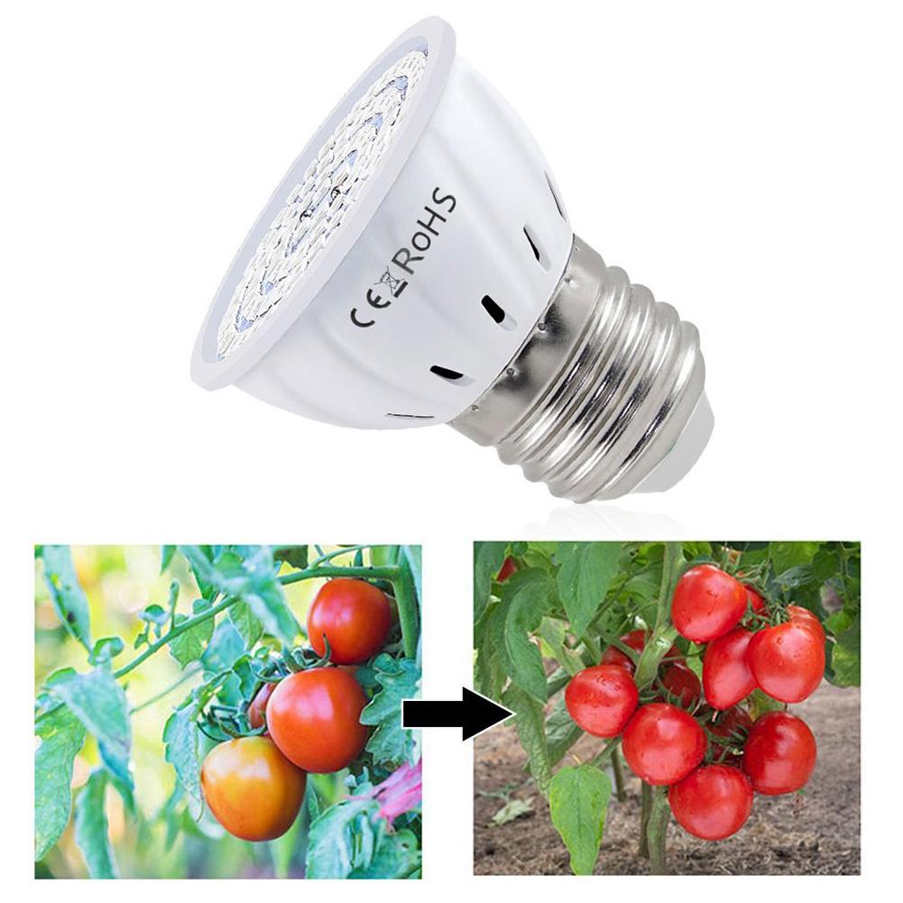 Plant Grow Light Full Spectrum - LED-Wachstumslampe E27 60-80 LEDs Vollspektrum LED-Pflanzenlampe