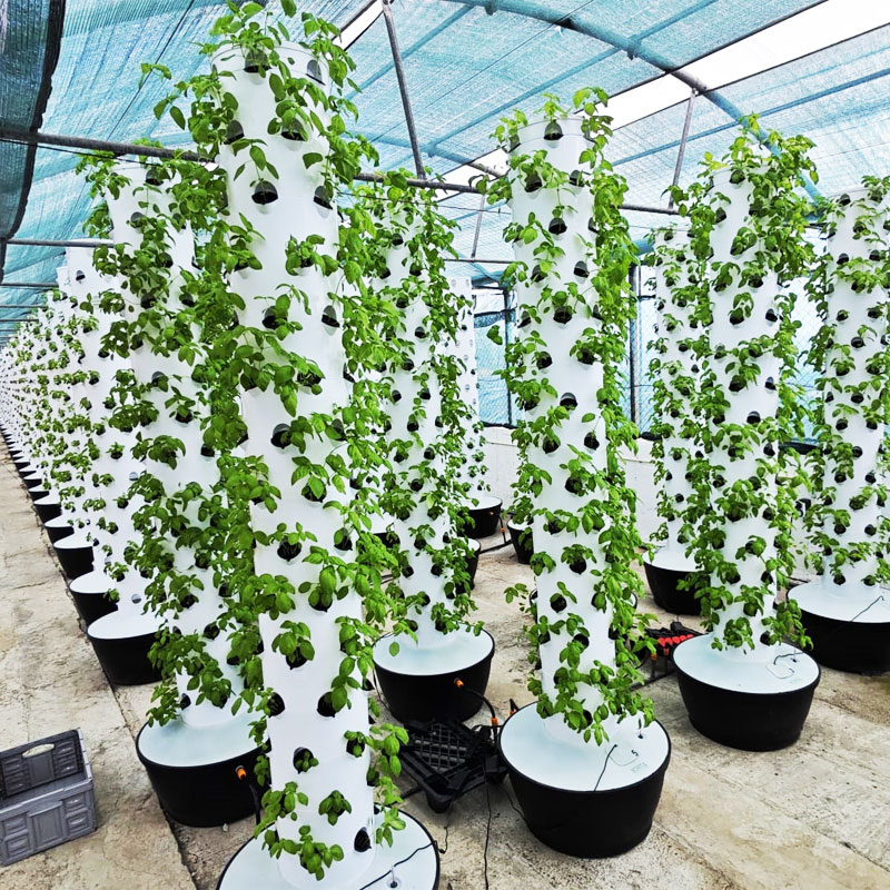 Hydroponic Tower - Hochwertiges, einfach zu installierendes, kleines vertikales