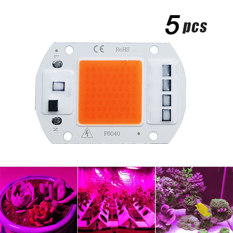 Plant Grow Light Full Spectrum - 5Pcs LED Wachsen COB Licht Chip