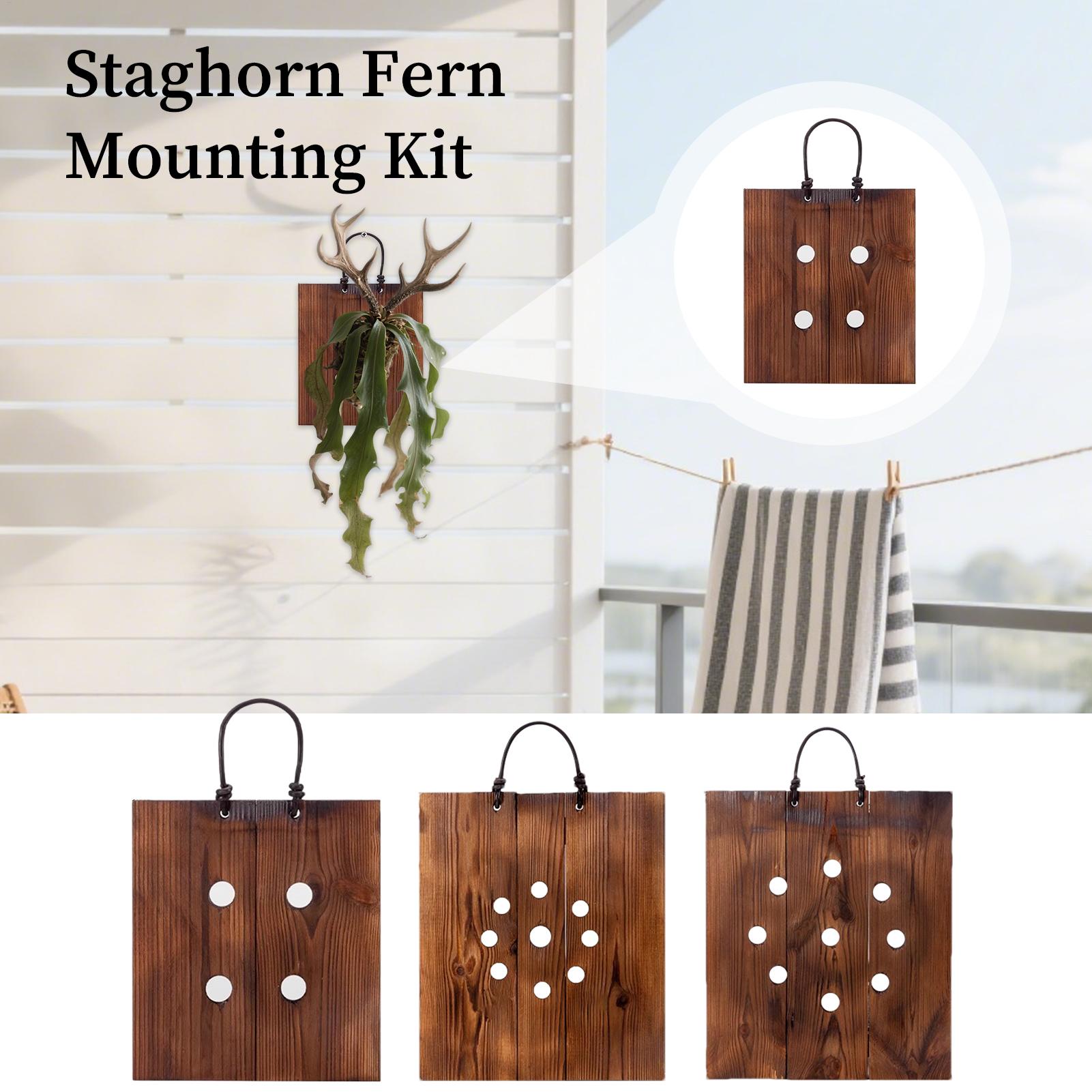 Indoor Garden Kit - Staghorn-Farn-Wandhalterung aus Holz mit Zubehör, Farmhaus-Stil,