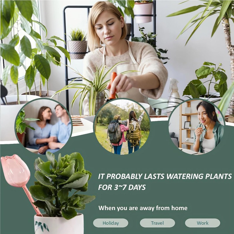Rosa Tulpen-Pflanzenbewässerun – Plant Sensor Bewertung und Preis