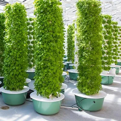 Aeroponische Turm-Gartensystem – Hydroponic Tower Bewertung und Preis