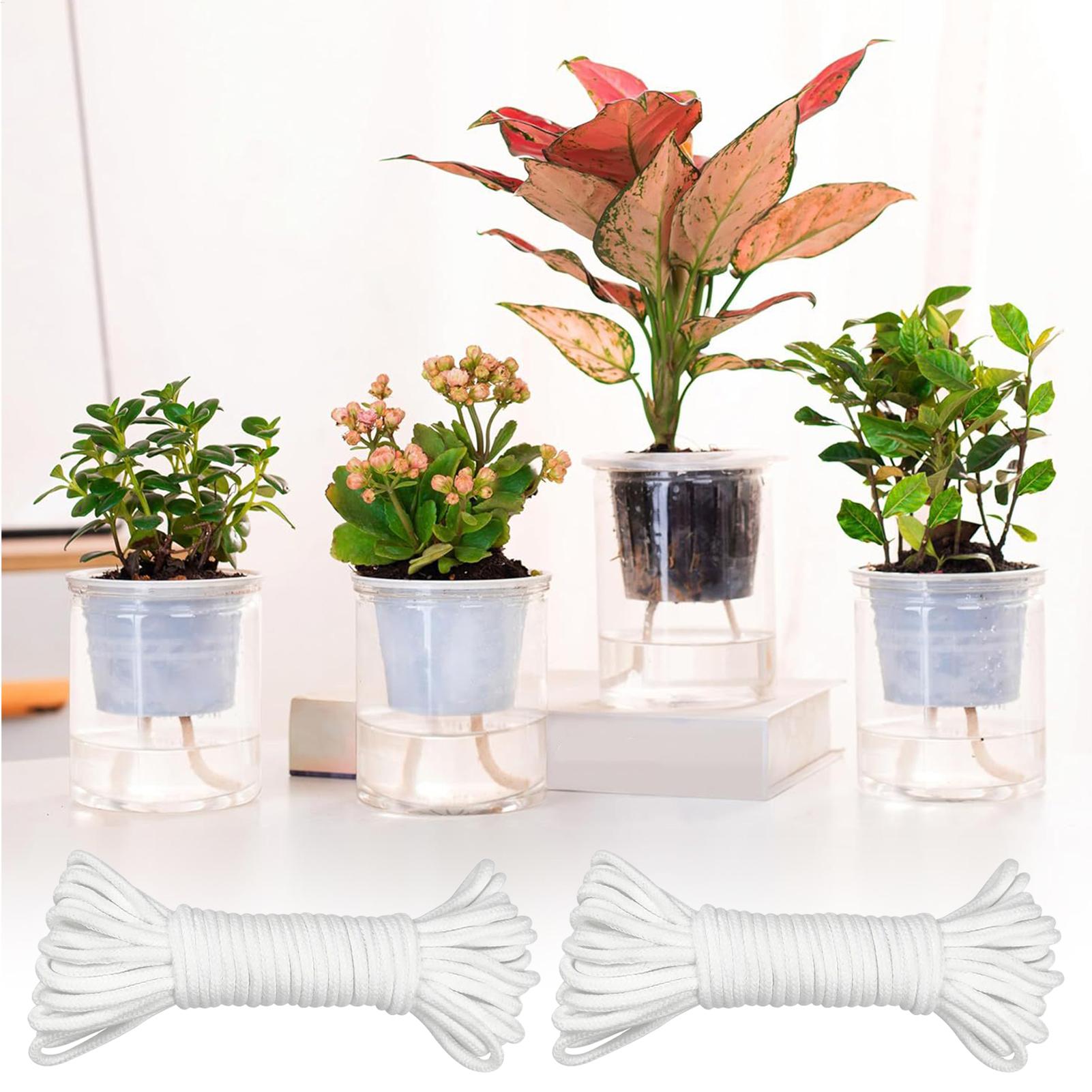 Pflanzenwickler für Selbstbewä – Self Watering Planter Bewertung und Preis