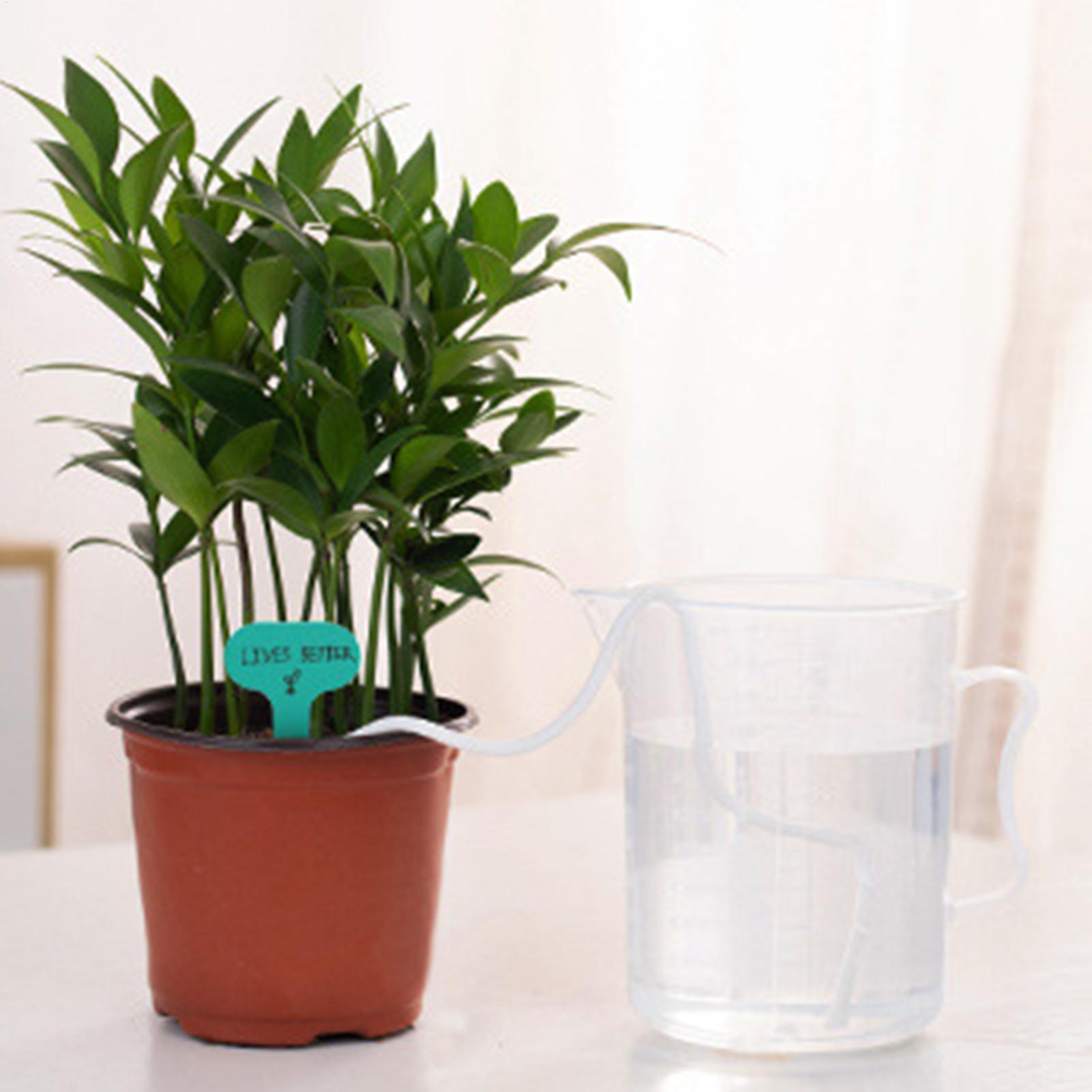 Pflanzenwickler für Selbstbewä – Self Watering Planter Bewertung und Preis