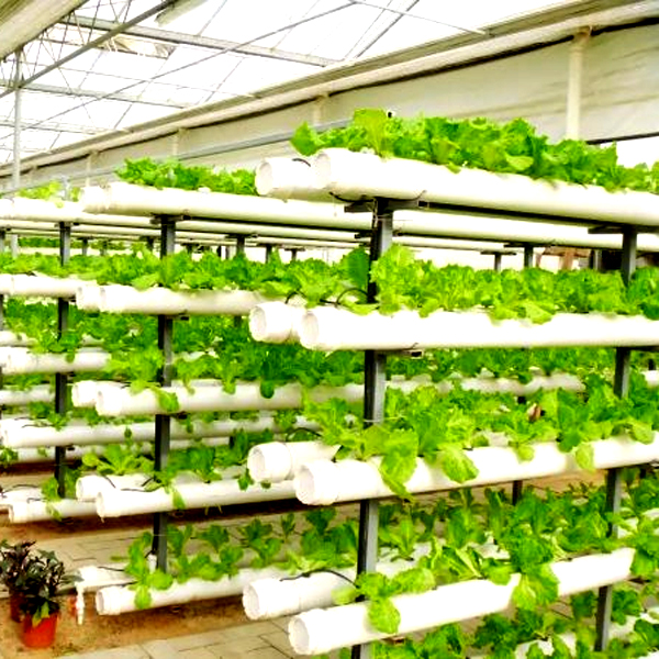 Outdoor Hydroponische Turm-Anb – Hydroponic Tower Bewertung und Preis