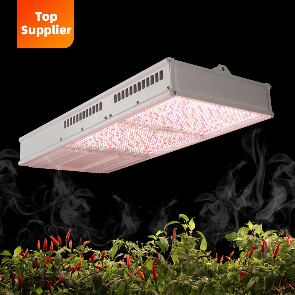 Kostengünstige 600W 800W Topli – Grow Light Led Bewertung und Preis