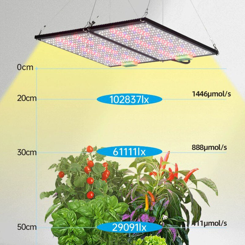 LED-Quantum-Board-Pflanzenlamp – Grow Light Led Bewertung und Preis