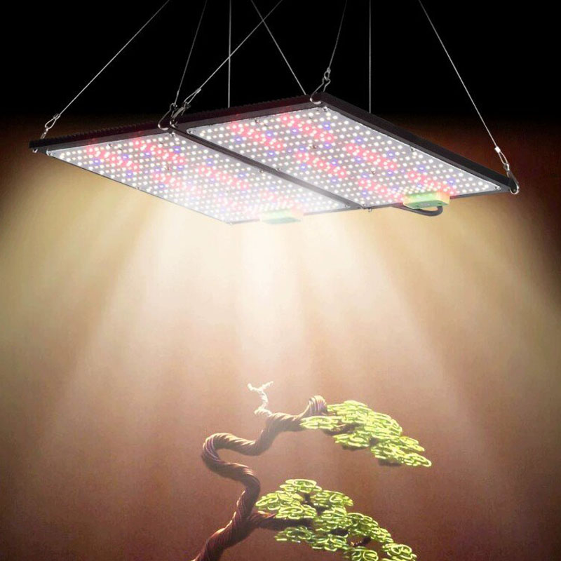 LED-Quantum-Board-Pflanzenlamp – Grow Light Led Bewertung und Preis