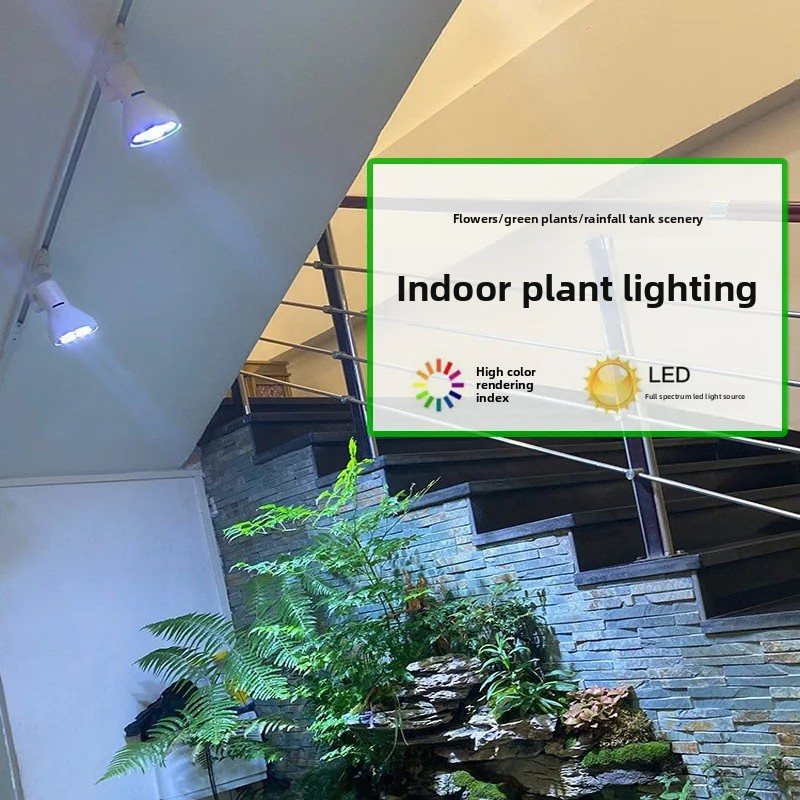 Vollspektrum-LED-Pflanzenlampe – Plant Grow Light Full Spectrum Bewertung und Preis