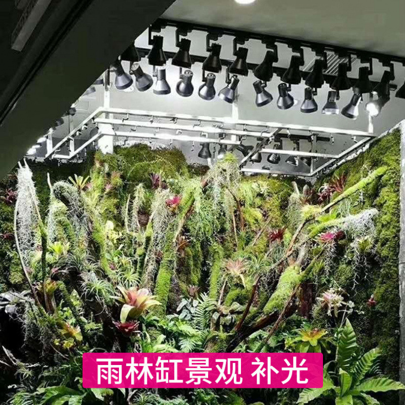 Vollspektrum-LED-Pflanzenlampe – Plant Grow Light Full Spectrum Bewertung und Preis