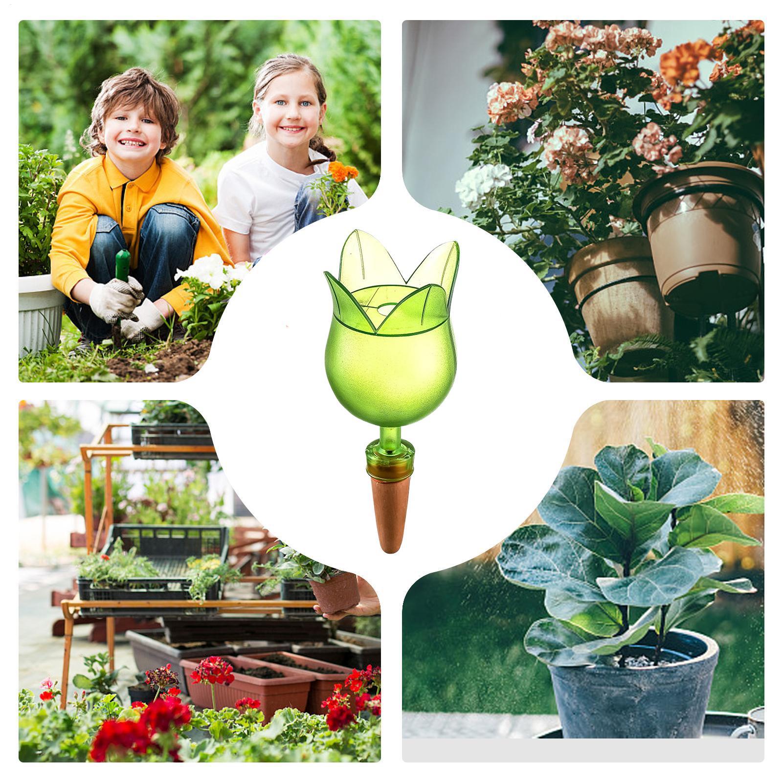 Selbstbewässerungsgeräte für P – Self Watering Planter Bewertung und Preis