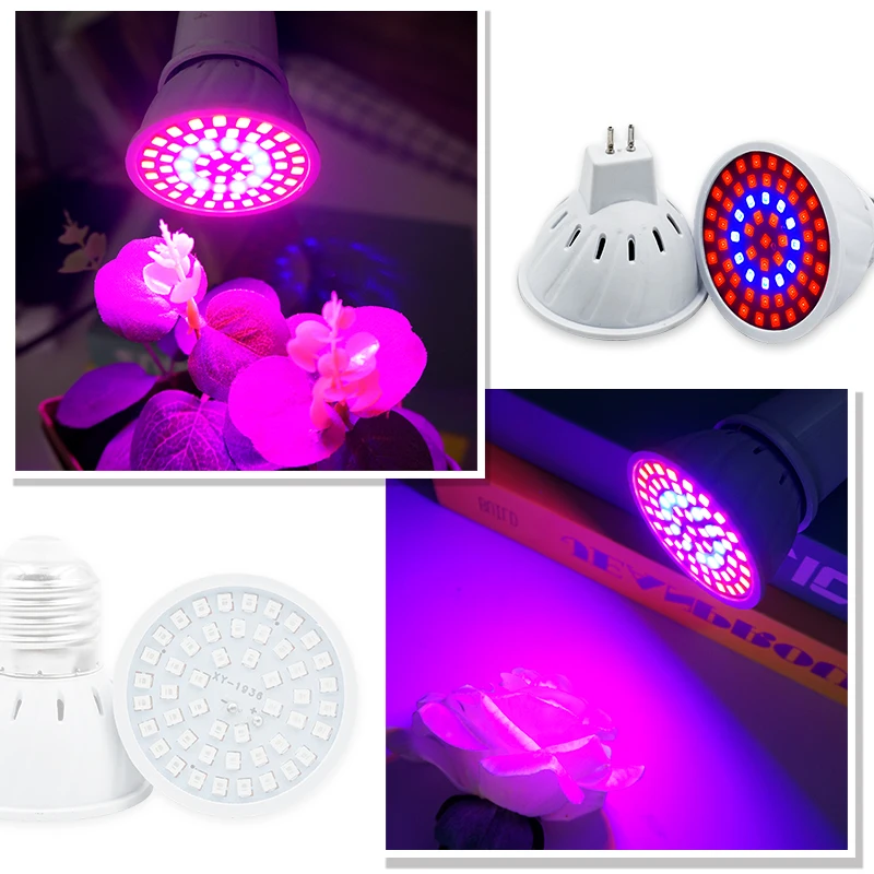 Phyto Lampe Vollspektrum LED W – Plant Grow Light Full Spectrum Bewertung und Preis