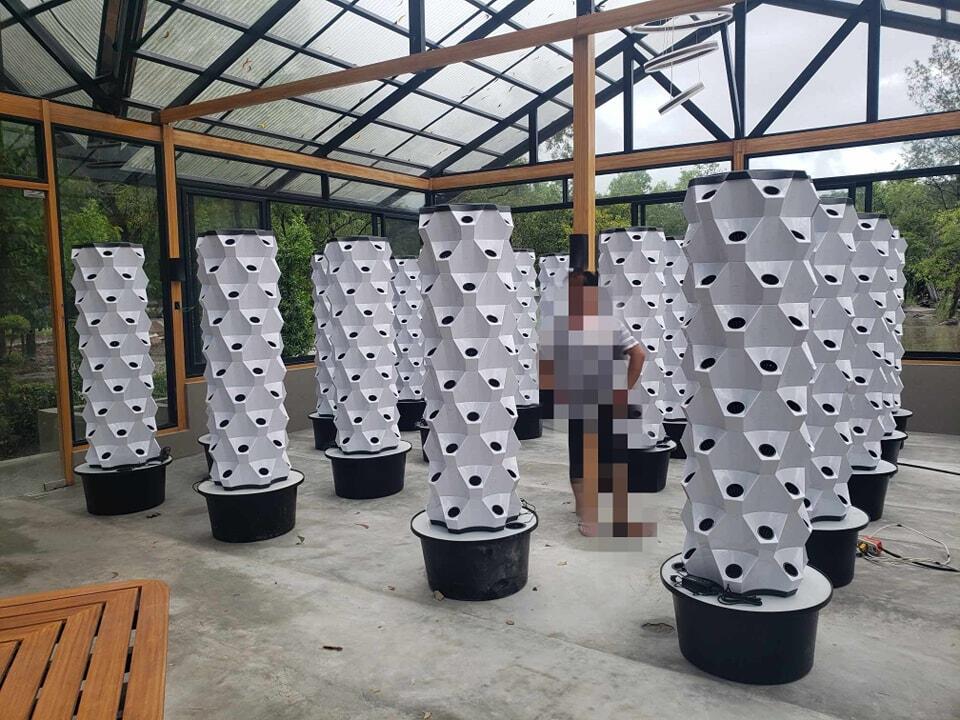 Gewächshaus Vertikaler Anbau H – Hydroponic Tower Bewertung und Preis