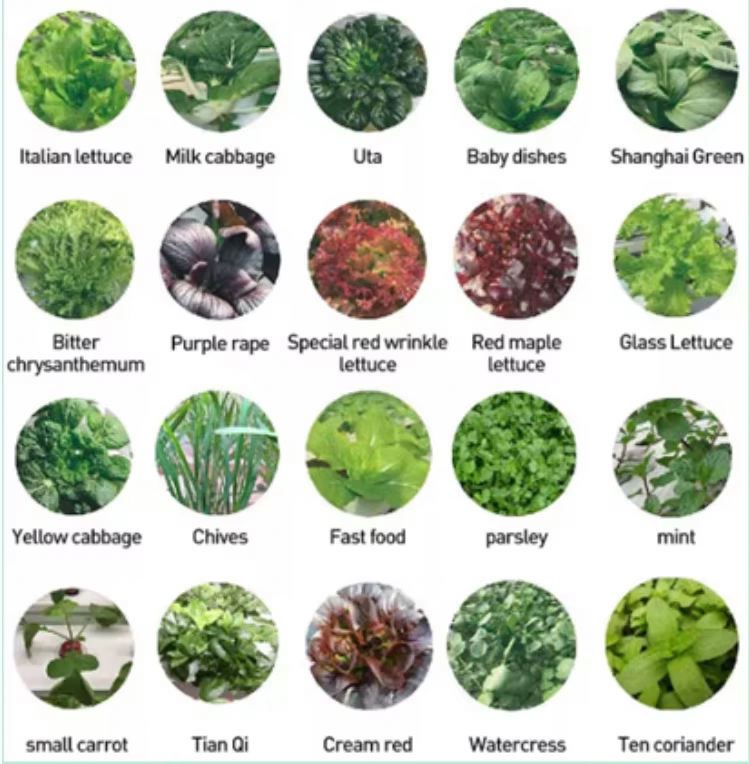 Vertikales Hydroponisches Turm – Hydroponic Tower Bewertung und Preis