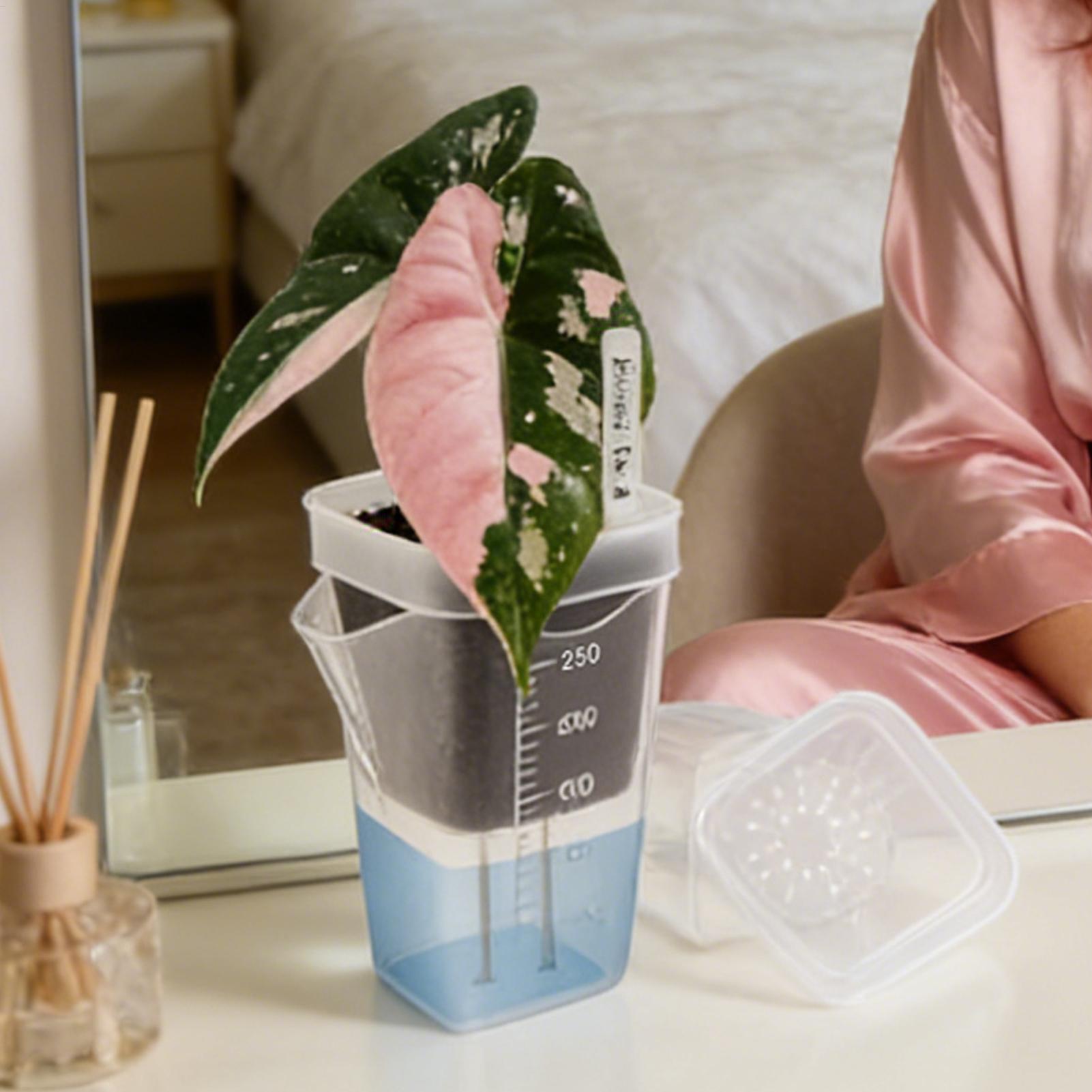 10 Stück transparente, selbstb – Hydroponic Grow Pod Bewertung und Preis