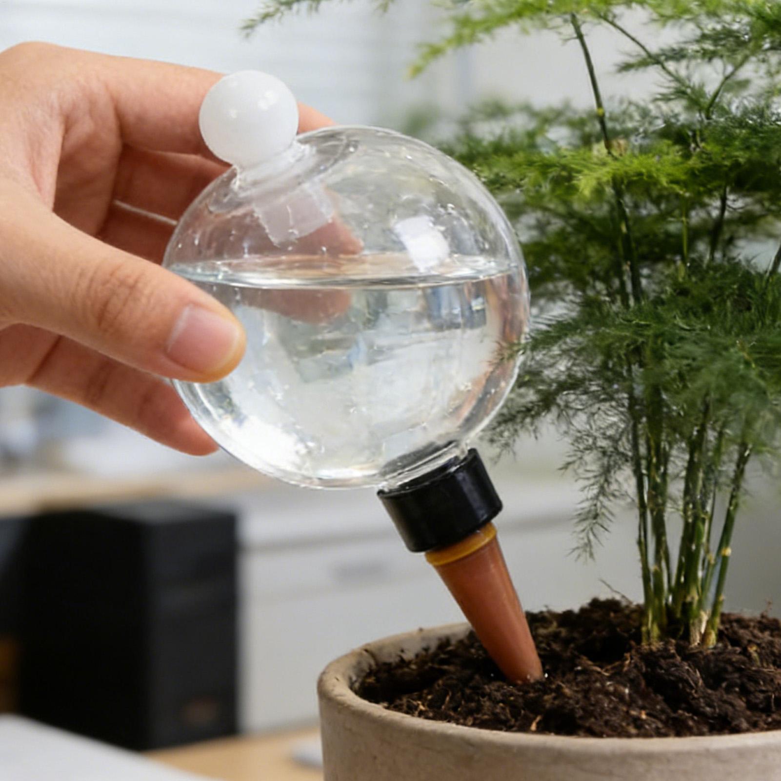 Pflanzenbewässerungskugeln, 4  – Plant Sensor Bewertung und Preis