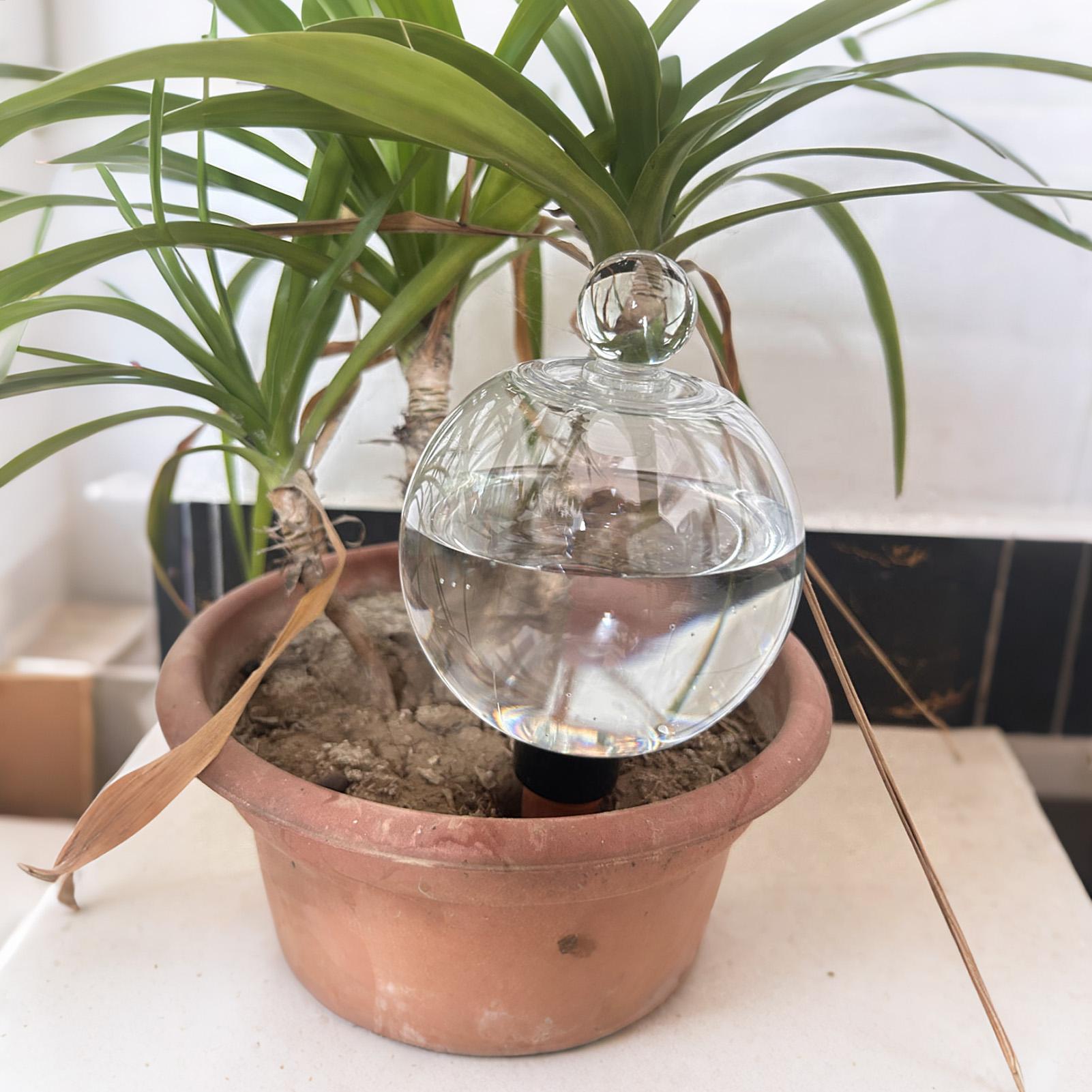 Pflanzenbewässerungskugeln, 4  – Plant Sensor Bewertung und Preis