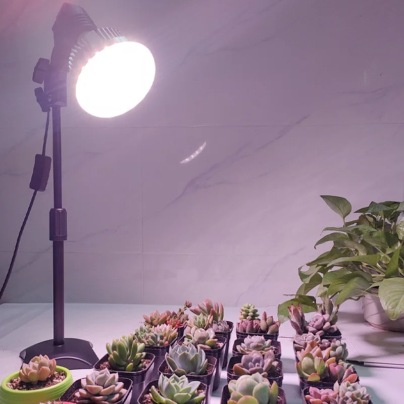 Faltbare & Hängende Pflanzenwa – Plant Grow Light Full Spectrum Bewertung und Preis