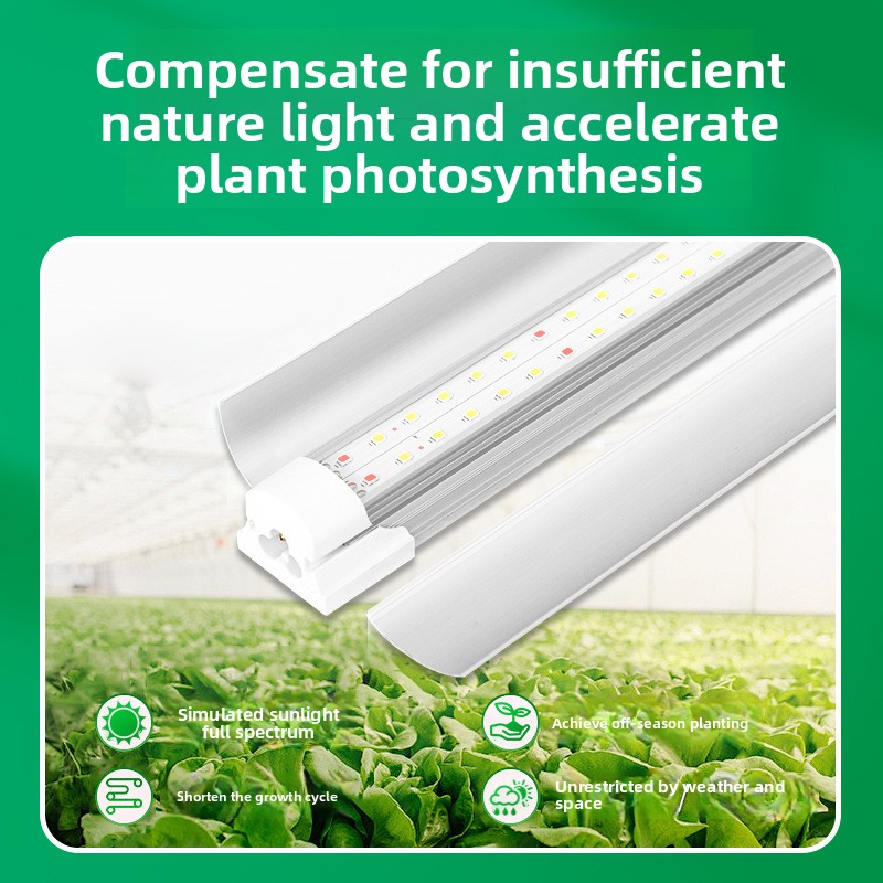 Indoor-Pflanzenzusatzbeleuchtu – Plant Grow Light Full Spectrum Bewertung und Preis