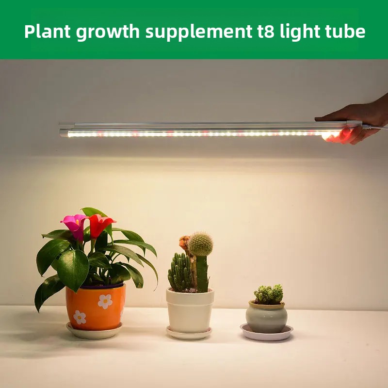 Indoor-Pflanzenzusatzbeleuchtu – Plant Grow Light Full Spectrum Bewertung und Preis