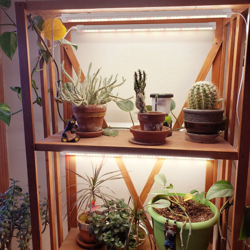 Indoor-Pflanzenzusatzbeleuchtu – Plant Grow Light Full Spectrum Bewertung und Preis