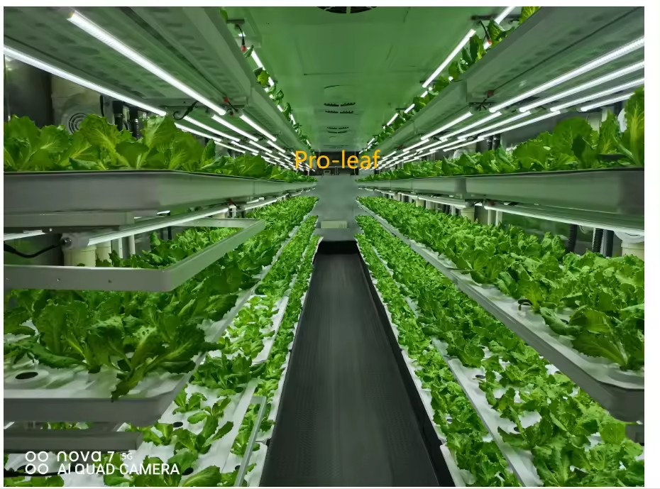 f Gewächshaus, landwirtschaftl – Hydroponic Tower Bewertung und Preis