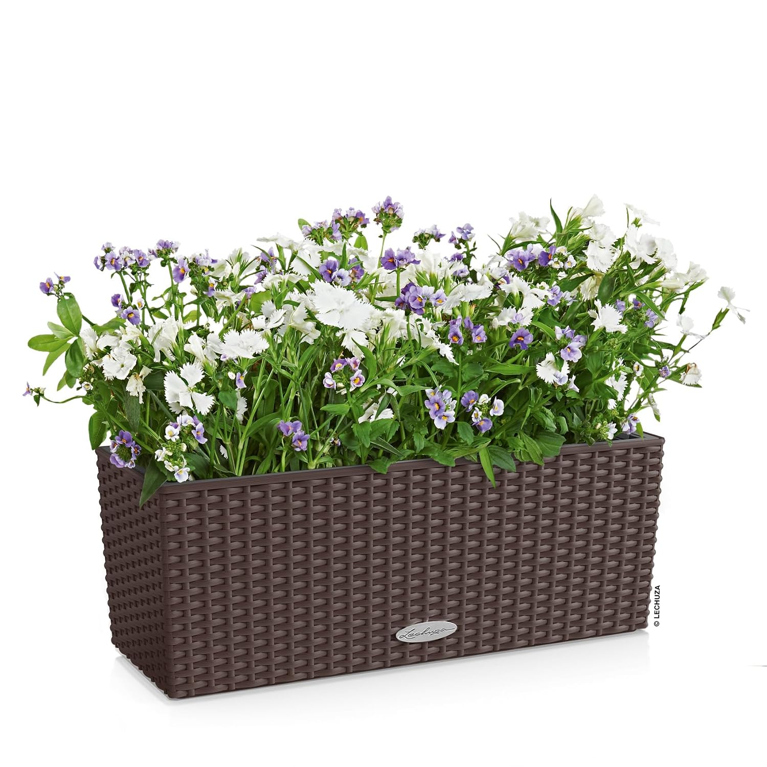 BALCONERA Cottage 50 Mocha, se – Self Watering Planter Bewertung und Preis