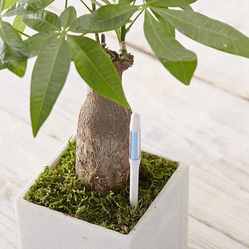 Aquameter, 5 Stück, Pflanzenbo – Plant Sensor Bewertung und Preis
