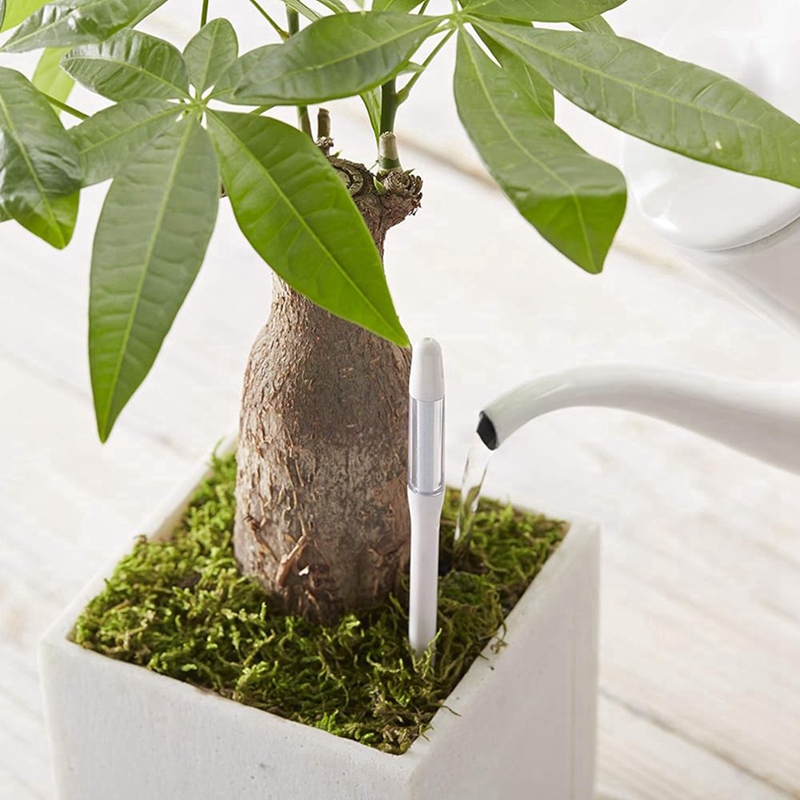 Aquameter, 5 Stück, Pflanzenbo – Plant Sensor Bewertung und Preis
