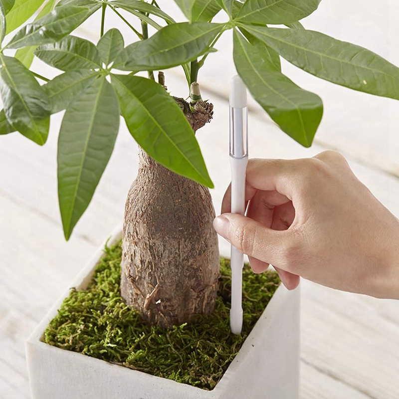 Aquameter, 5 Stück, Pflanzenbo – Plant Sensor Bewertung und Preis