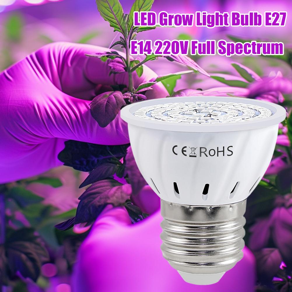 LED-Wachstumslampe E27 60-80 L – Plant Grow Light Full Spectrum Bewertung und Preis