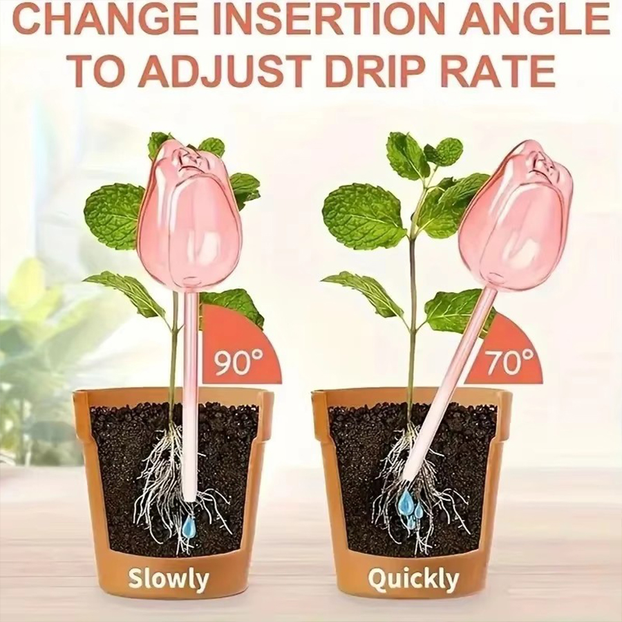 Transparenter, dicker PET-Tulp – Self Watering Planter Bewertung und Preis