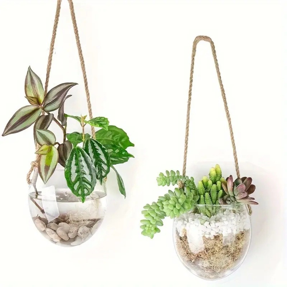 Transparente Hydroponische Hän – Hydroponic Grow Pod Bewertung und Preis