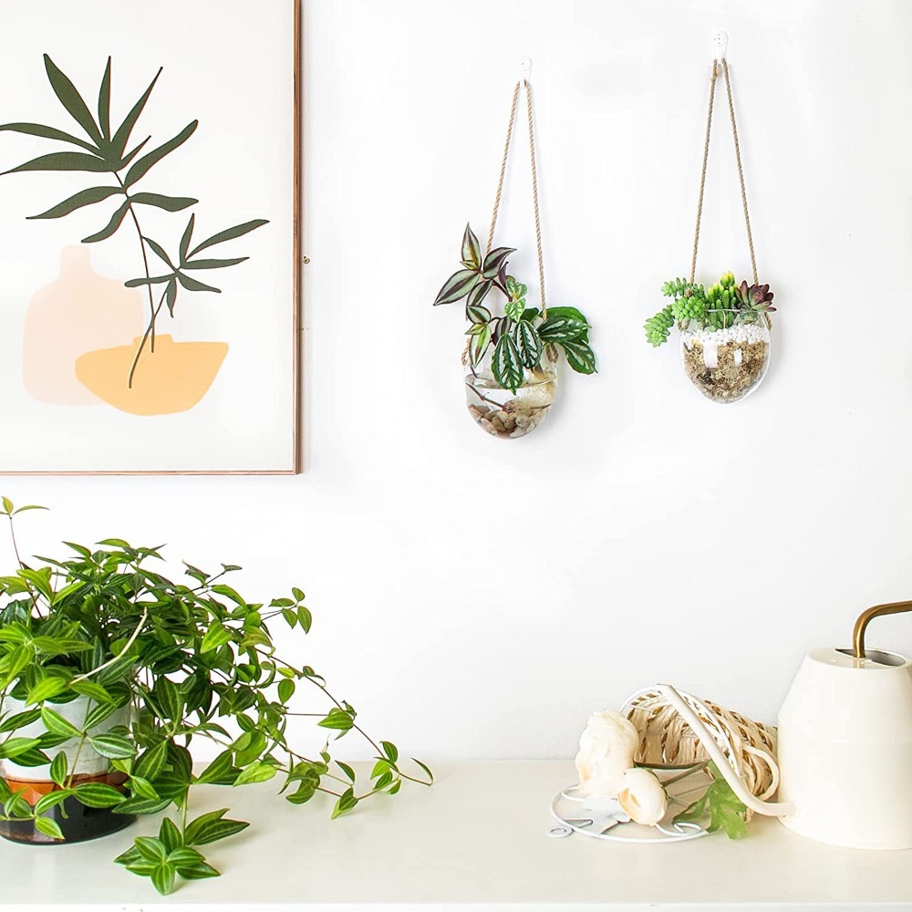 Transparente Hydroponische Hän – Hydroponic Grow Pod Bewertung und Preis