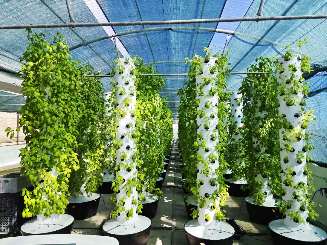Hochwertiges, einfach zu insta – Hydroponic Tower Bewertung und Preis