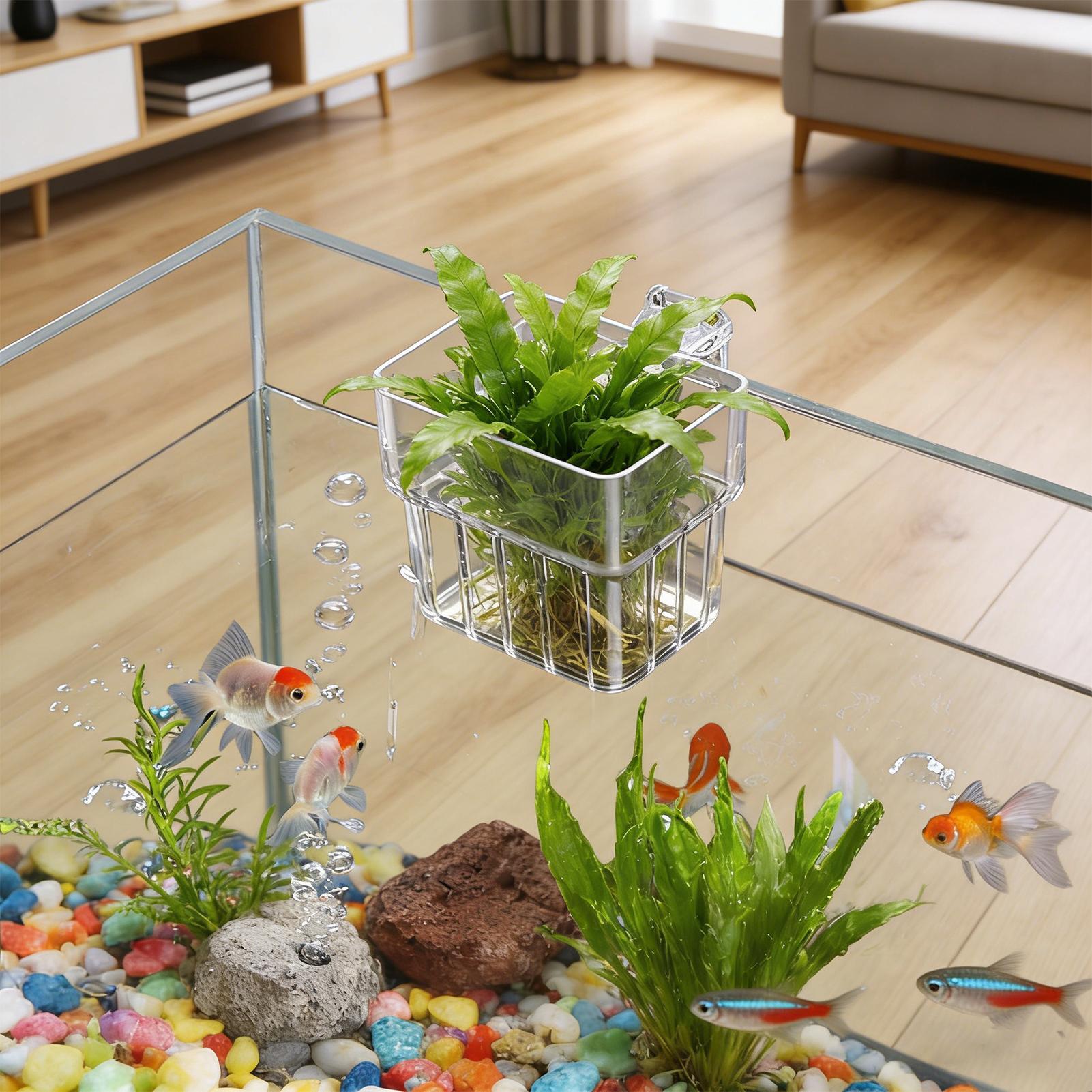 Transparenter Hängbarer Aquari – Hydroponic Grow Pod Bewertung und Preis