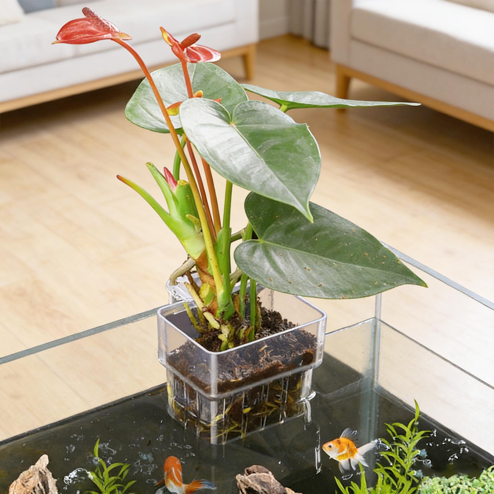 Transparenter Hängbarer Aquari – Hydroponic Grow Pod Bewertung und Preis