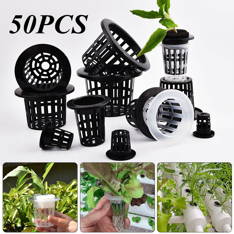50 Stück Schwarz-Weiße Erdlose – Hydroponic Grow Pod Bewertung und Preis