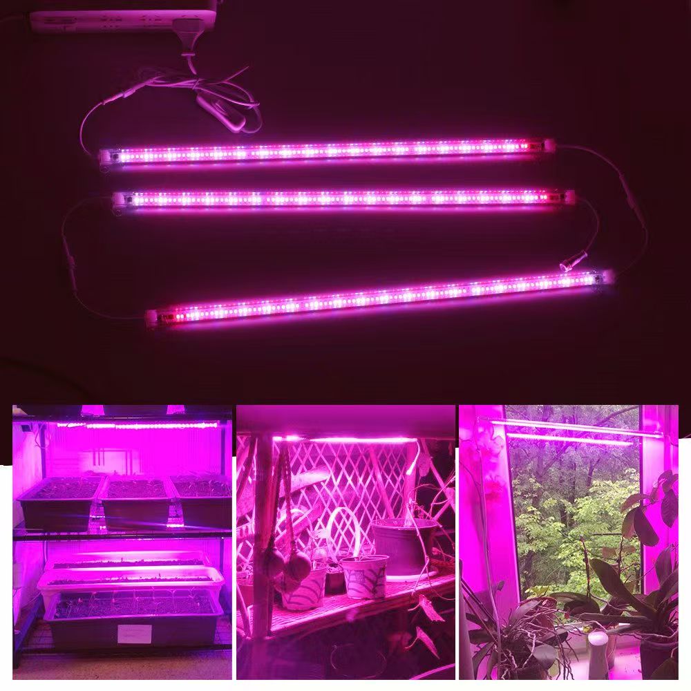 12 Zoll LED Pflanzenwachstumsl – Plant Grow Light Full Spectrum Bewertung und Preis