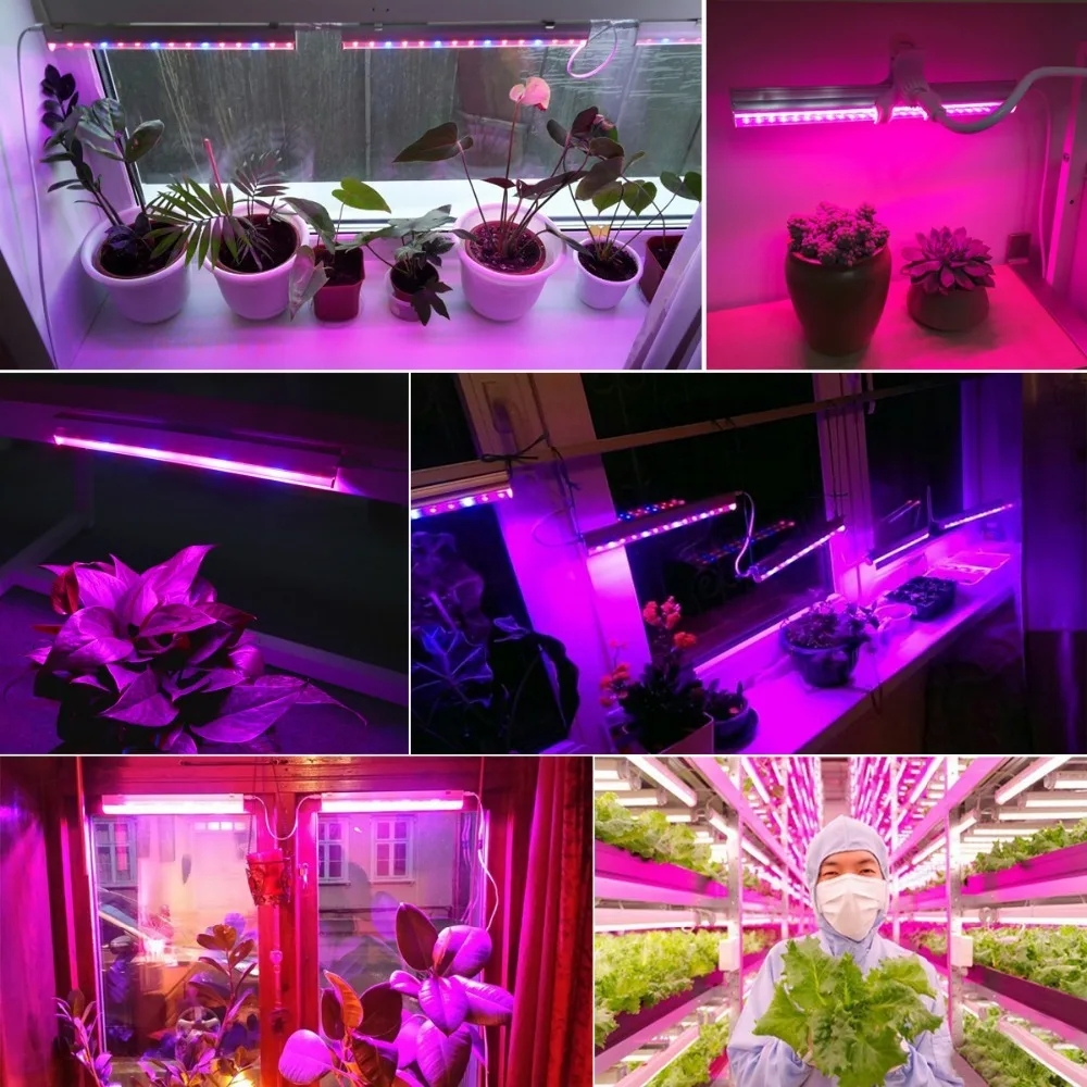 12 Zoll LED Pflanzenwachstumsl – Plant Grow Light Full Spectrum Bewertung und Preis