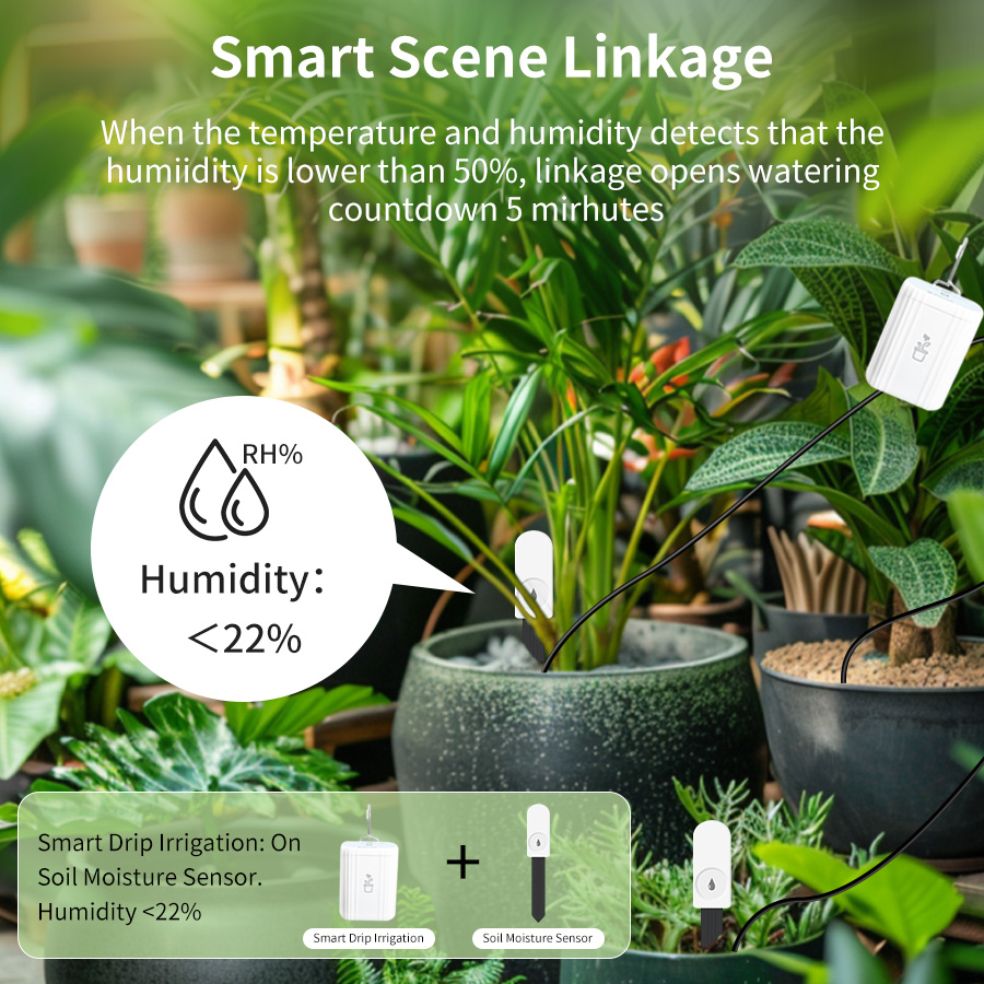Intelligenter Zigbee 3.0 Boden – Plant Monitor Bewertung und Preis