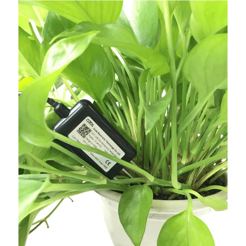CDT-30B Rs485 0-2V Ausgang Anl – Plant Sensor Bewertung und Preis