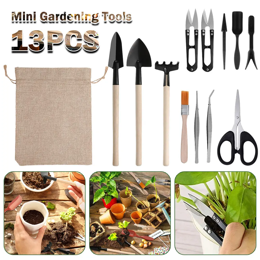 13 Stück Sukkulenten Werkzeugs – Indoor Garden Kit Bewertung und Preis