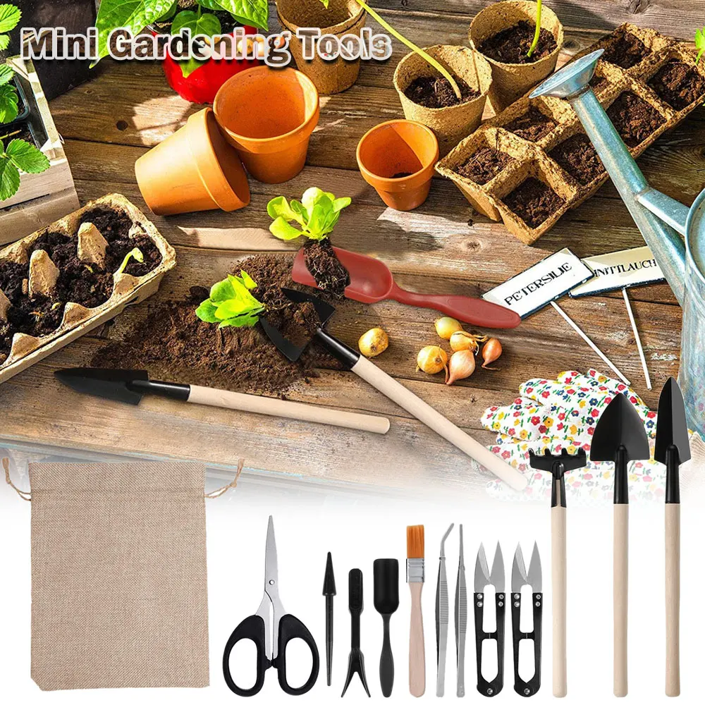 13 Stück Sukkulenten Werkzeugs – Indoor Garden Kit Bewertung und Preis
