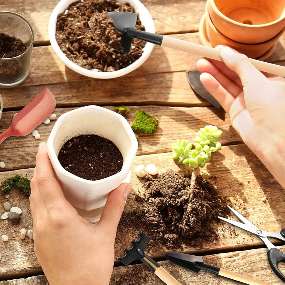 13 Stück Sukkulenten Werkzeugs – Indoor Garden Kit Bewertung und Preis