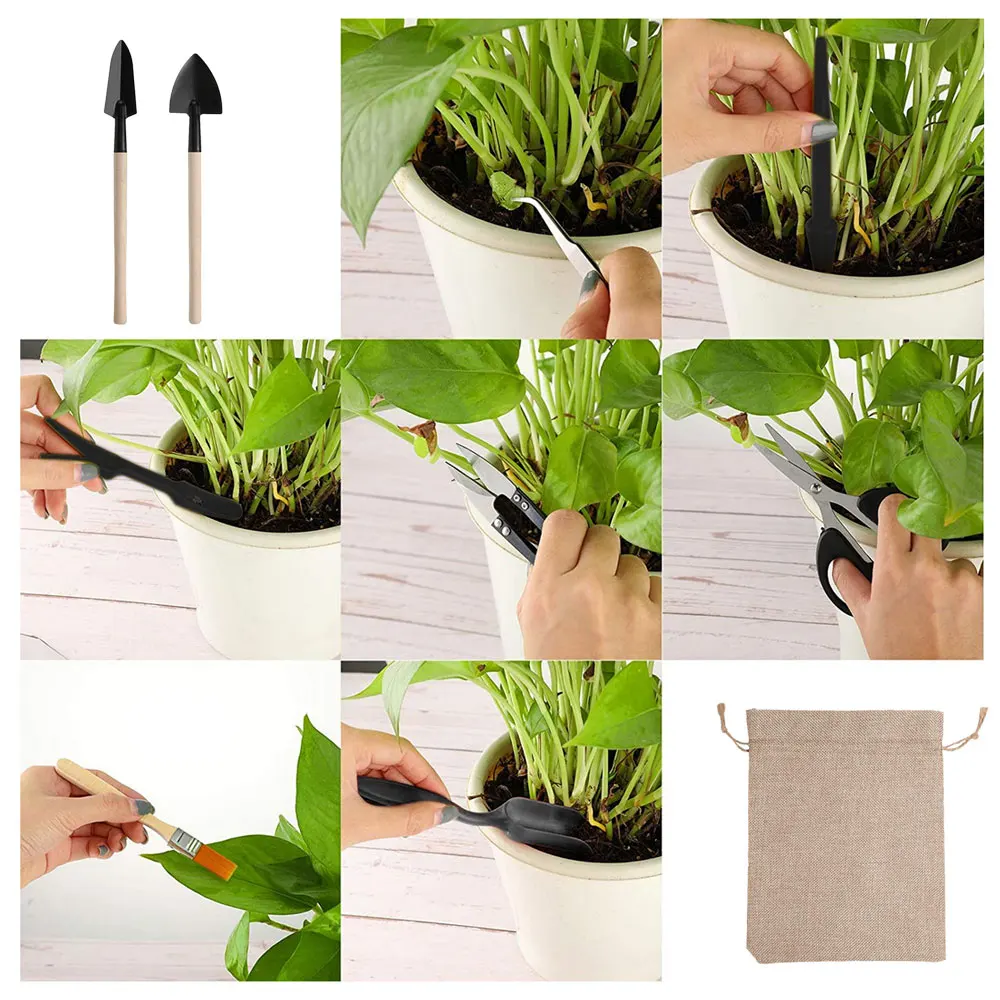 13 Stück Sukkulenten Werkzeugs – Indoor Garden Kit Bewertung und Preis